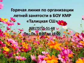 Телефон горячей линии по вопросам организации летней занятости.