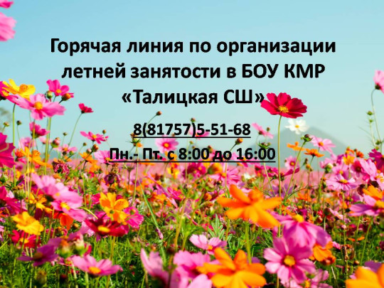 Телефон горячей линии по вопросам организации летней занятости.